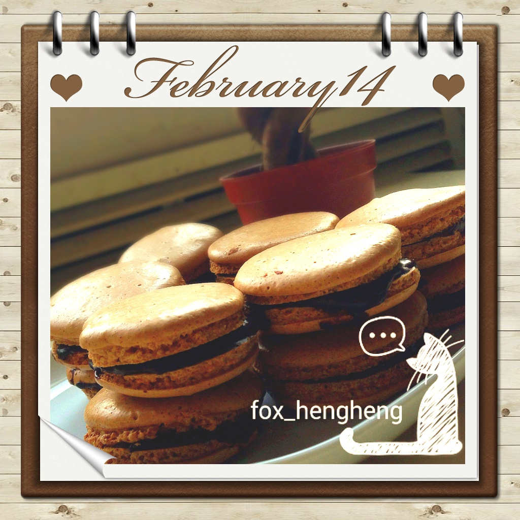 最容易成功的chocolate macarons 巧克力马卡龙