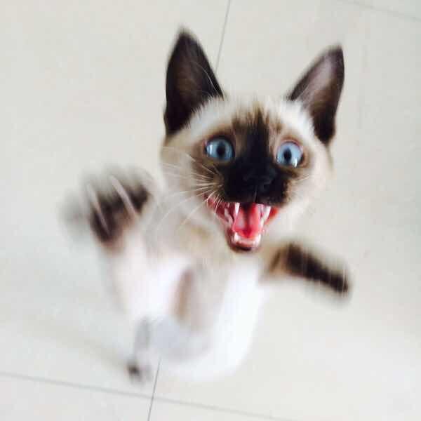起不出来名字也重复