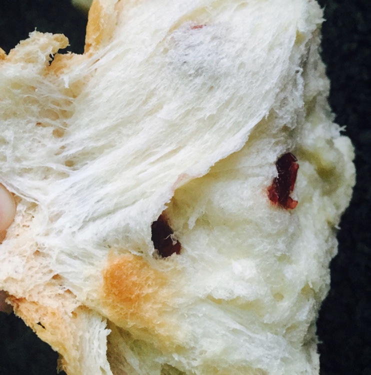 夺命软吐司(๑´ڡ`๑)超软拉丝极速方便的一次发酵吐司