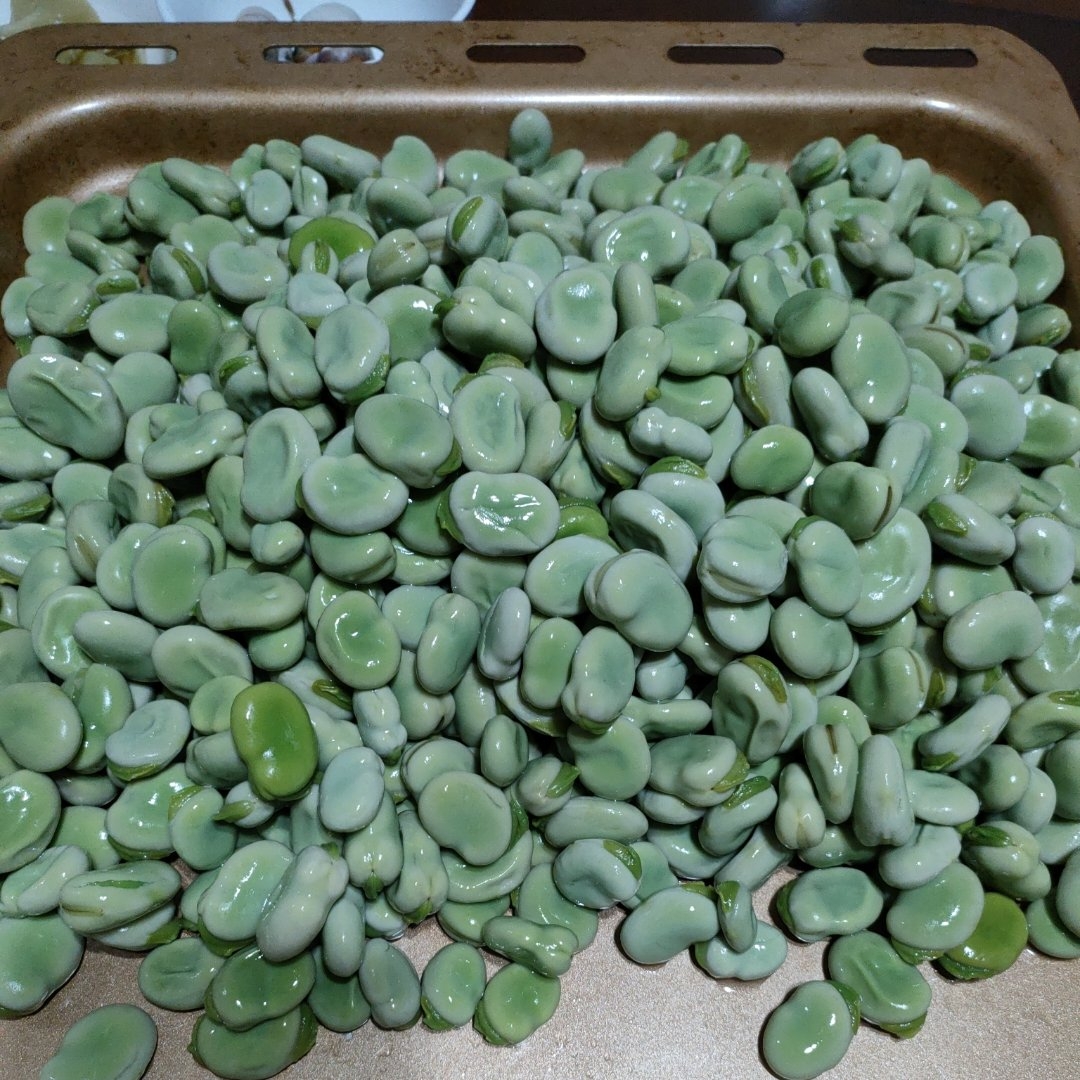 新鲜嫩蚕豆 胡豆 糊豆长期保存方法