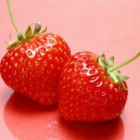 草莓的吃法的做法 步骤2