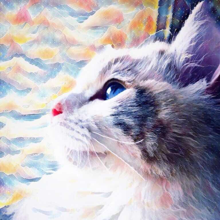 没头脑小姐orz