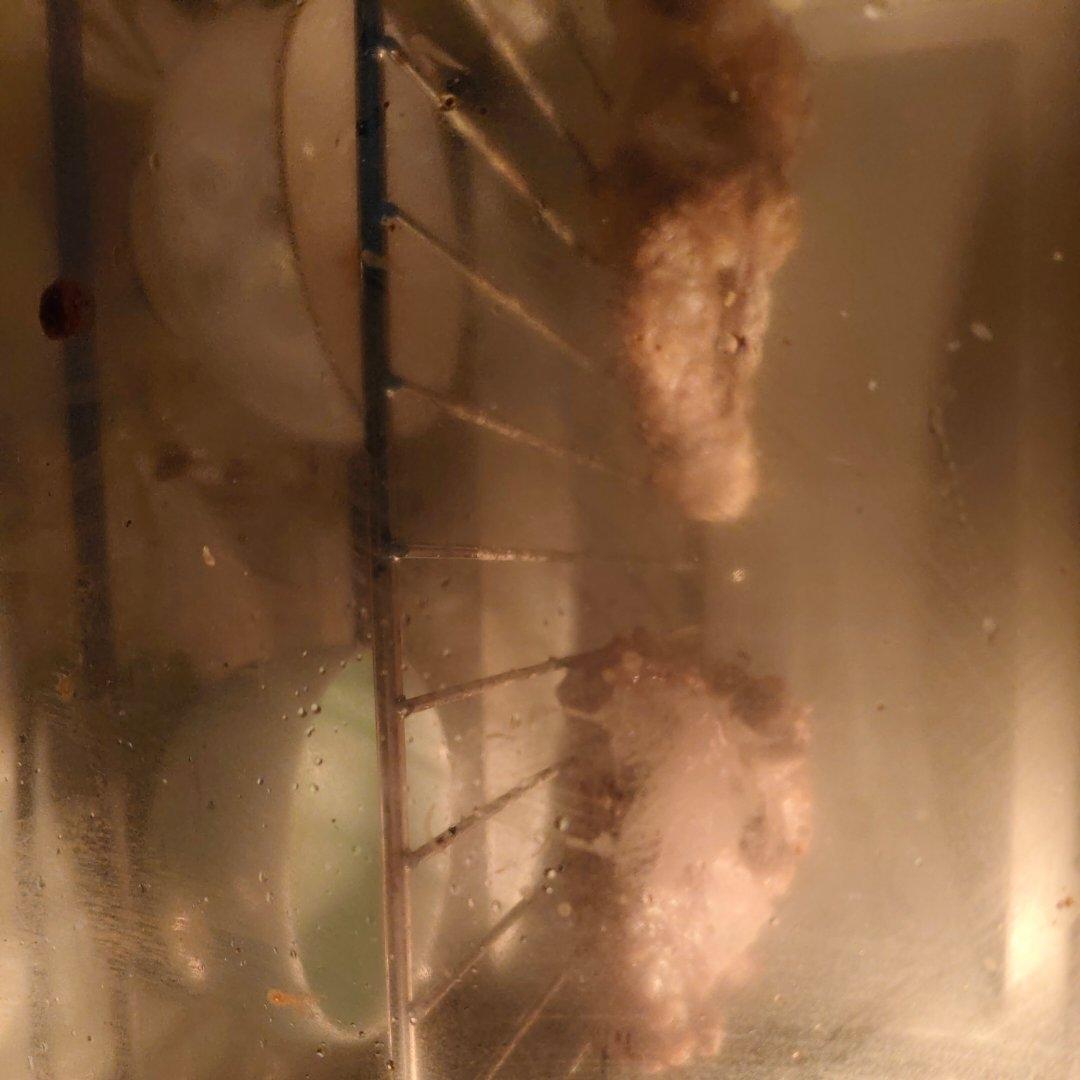 極簡香酥鴨腿的做法 步驟2