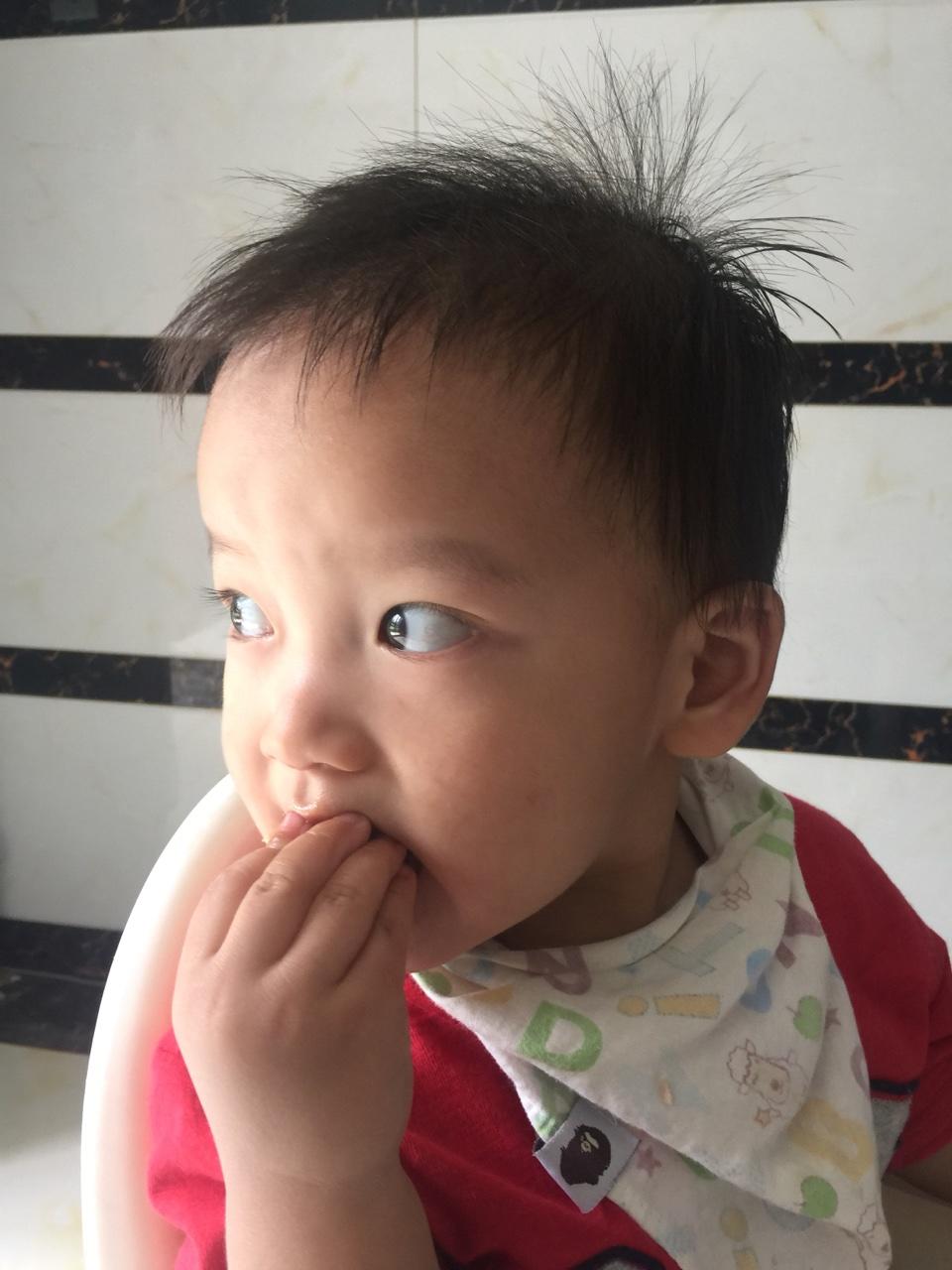 巧虎哥