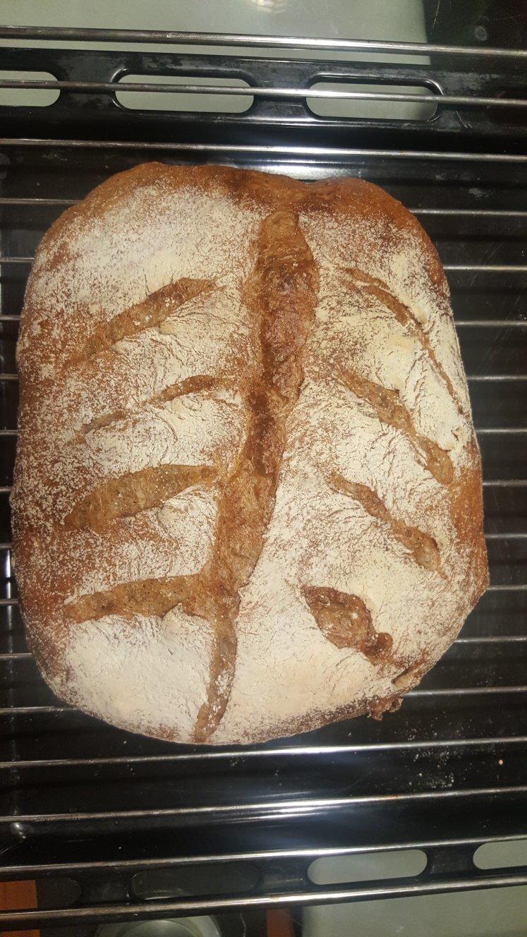 不可能减肥的欧包🥖（超简单！免揉！无油无糖）
