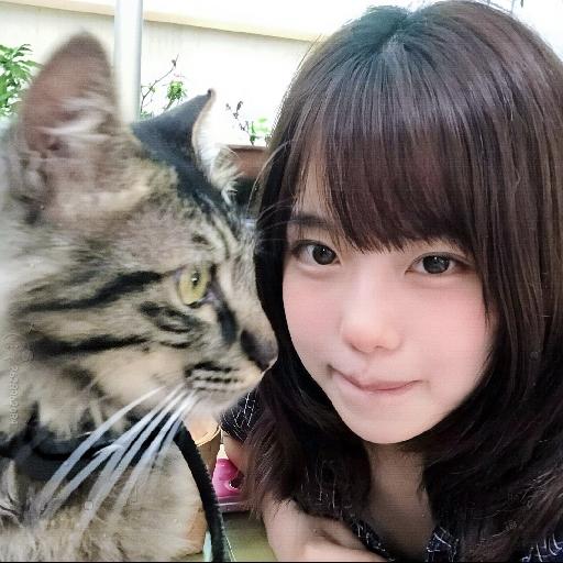 猫猫泪