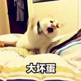 吃过大魔王