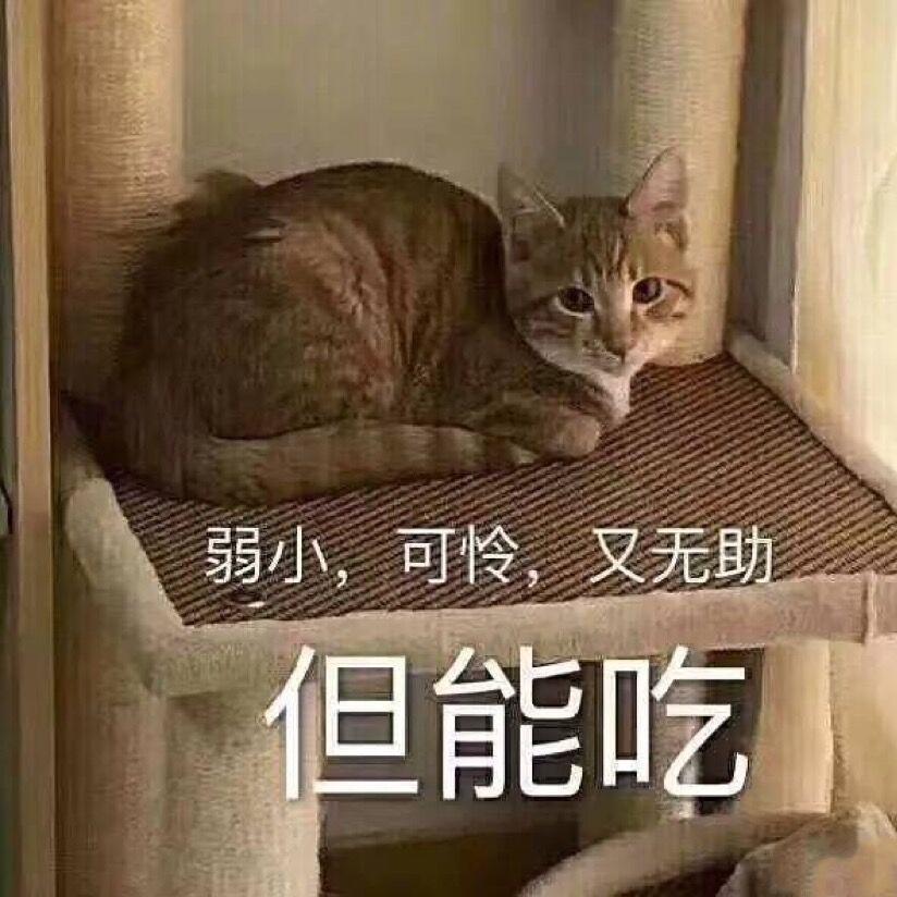 被电竞耽搁的张大厨的厨房