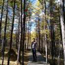 手机用户6820_zor5