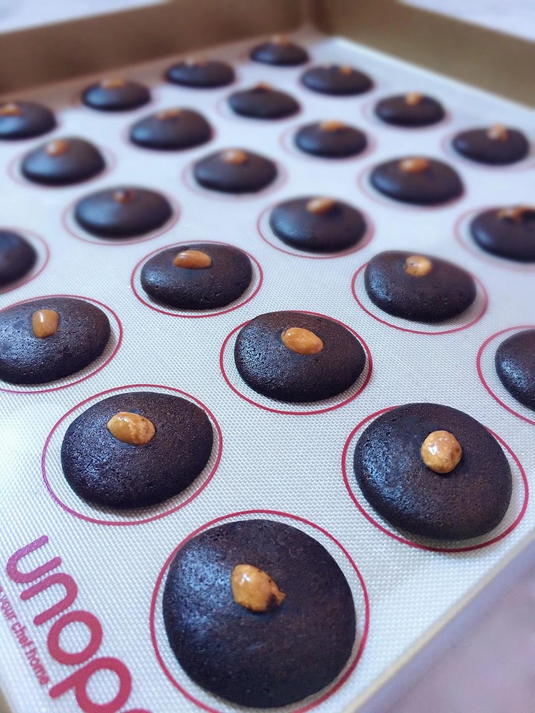 夏威夷果可可脆片