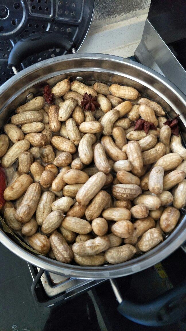 春日懒腰做的水煮五香花生