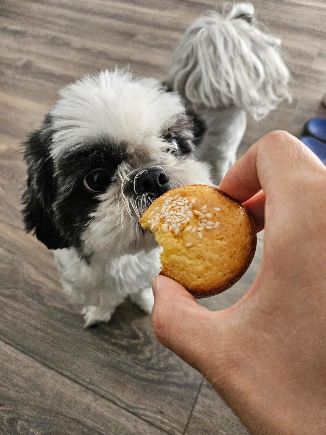 无水蜂蜜蛋糕【老式蛋糕房飘香的秘密】