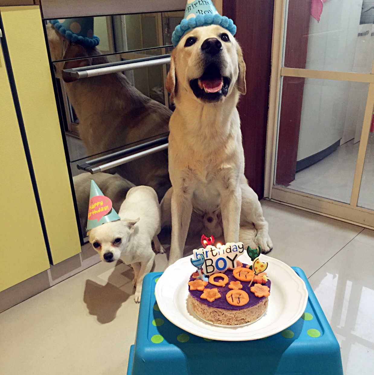 狗狗生日蛋糕（纯天然无色素无面粉）