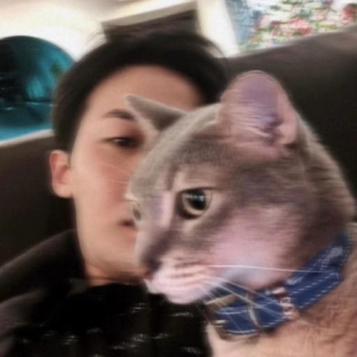 翻车小公举