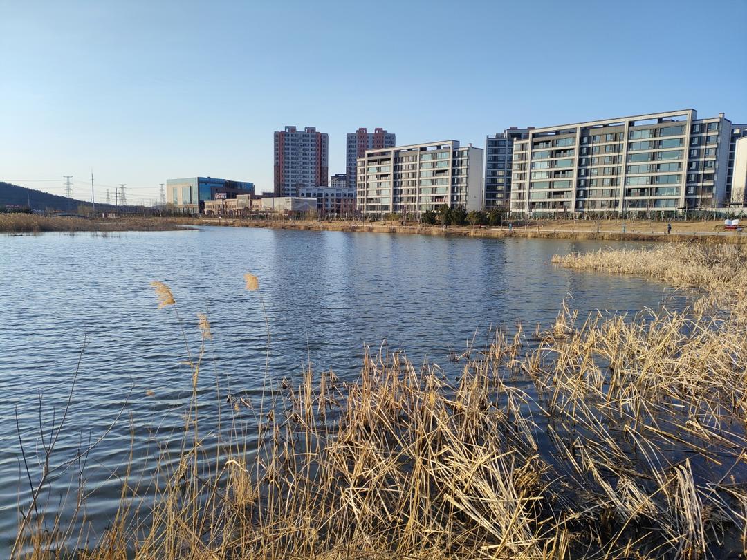 牛肉圆葱包子，记得用花椒水