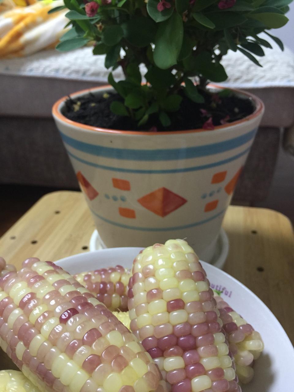快速煮玉米
