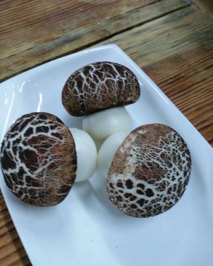 鲜奶红豆包