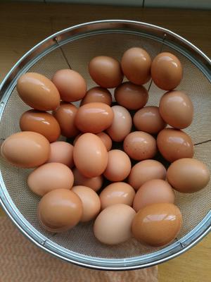 咸鸡蛋做法的做法 步骤1