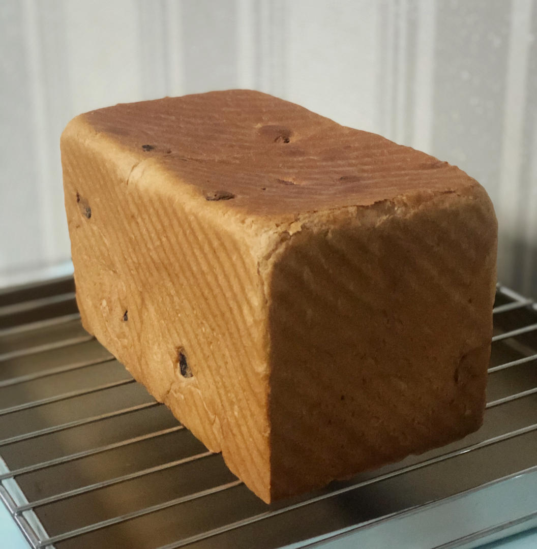 夺命软吐司(๑´ڡ`๑)超软拉丝极速方便的一次发酵吐司