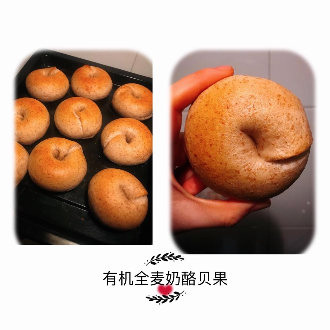 有机全麦奶酪贝果（课后练习记录）