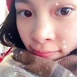 丁丁猫2016