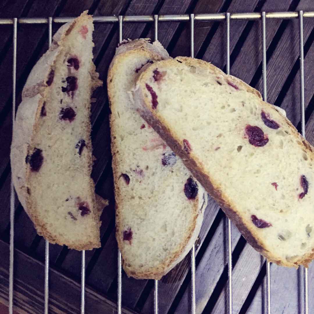 黑麦蔓越莓软欧包