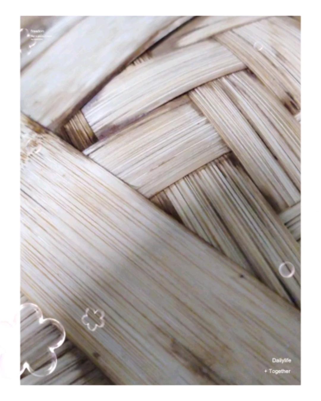 超级大肉龙【宝宝辅食】