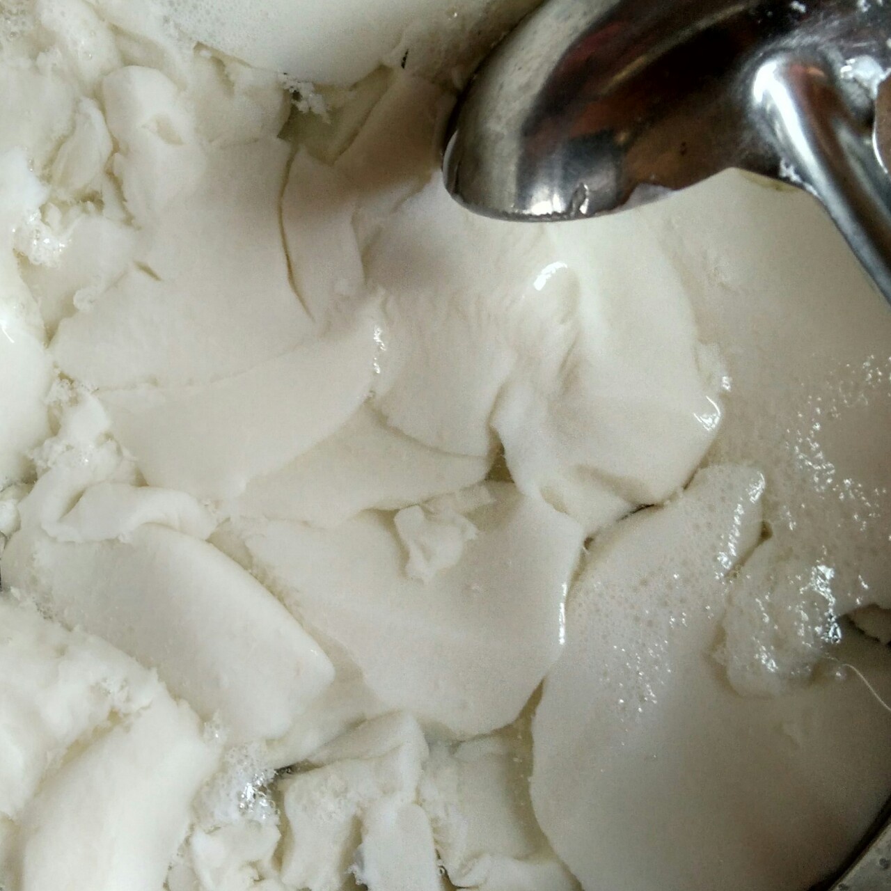 【老少皆宜】自制豆腐+豆腐脑