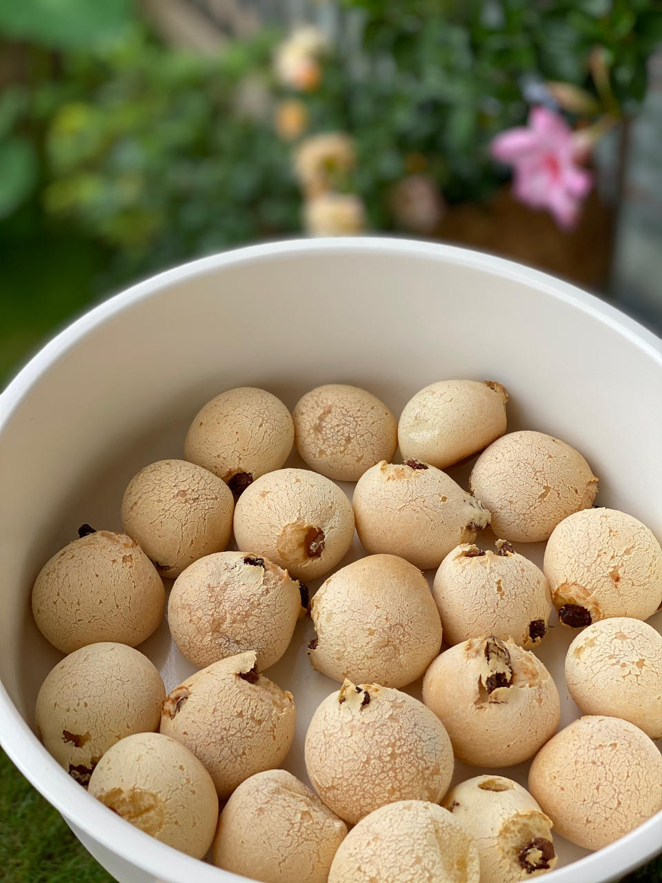 恐龙蛋·麻薯面包·麻薯包 自己做了1000➕的私人配方