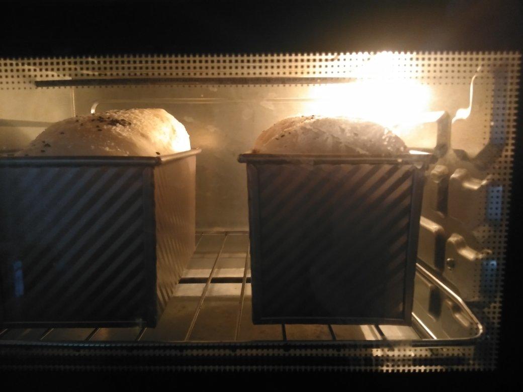 水合法手揉中种牛奶吐司