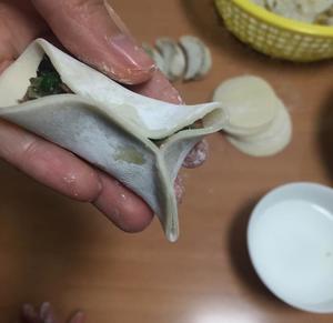 青菜猪肉水饺 步骤图详解包水饺方法的做法 步骤4