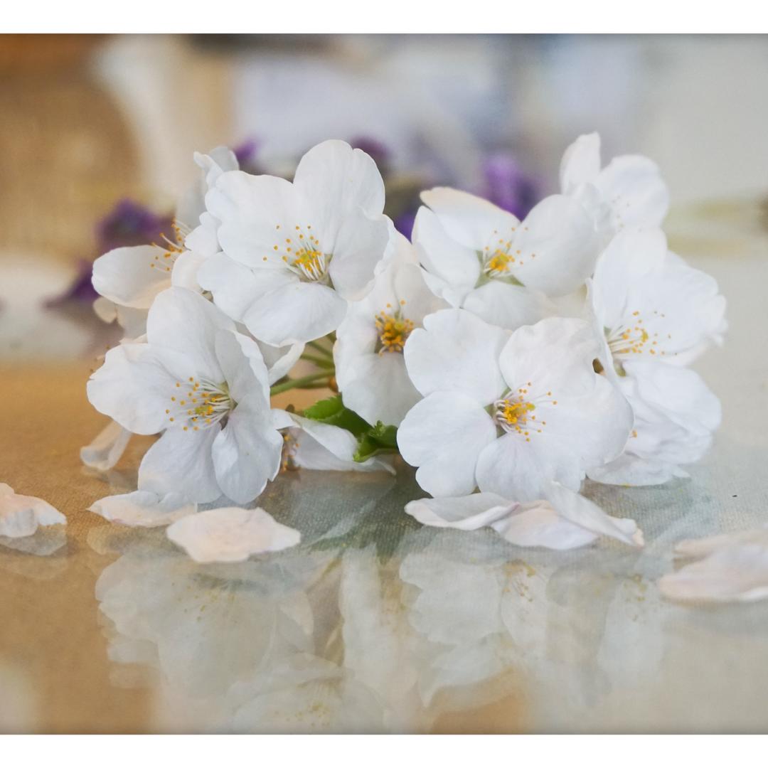 xiaominbio