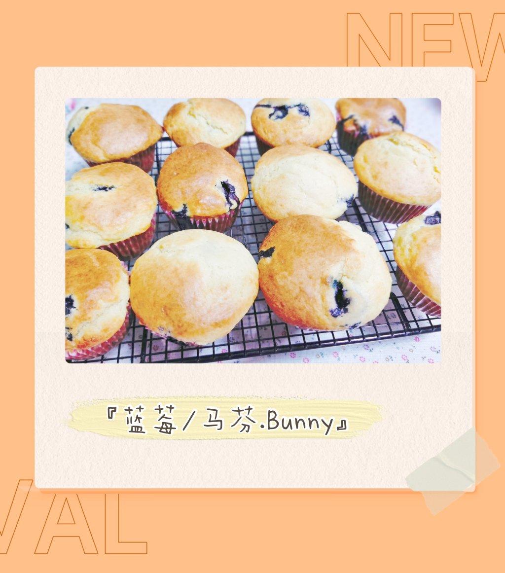 烘培•经典蓝莓玛芬纸杯蛋糕 好味道 做法简单（德国食材版）