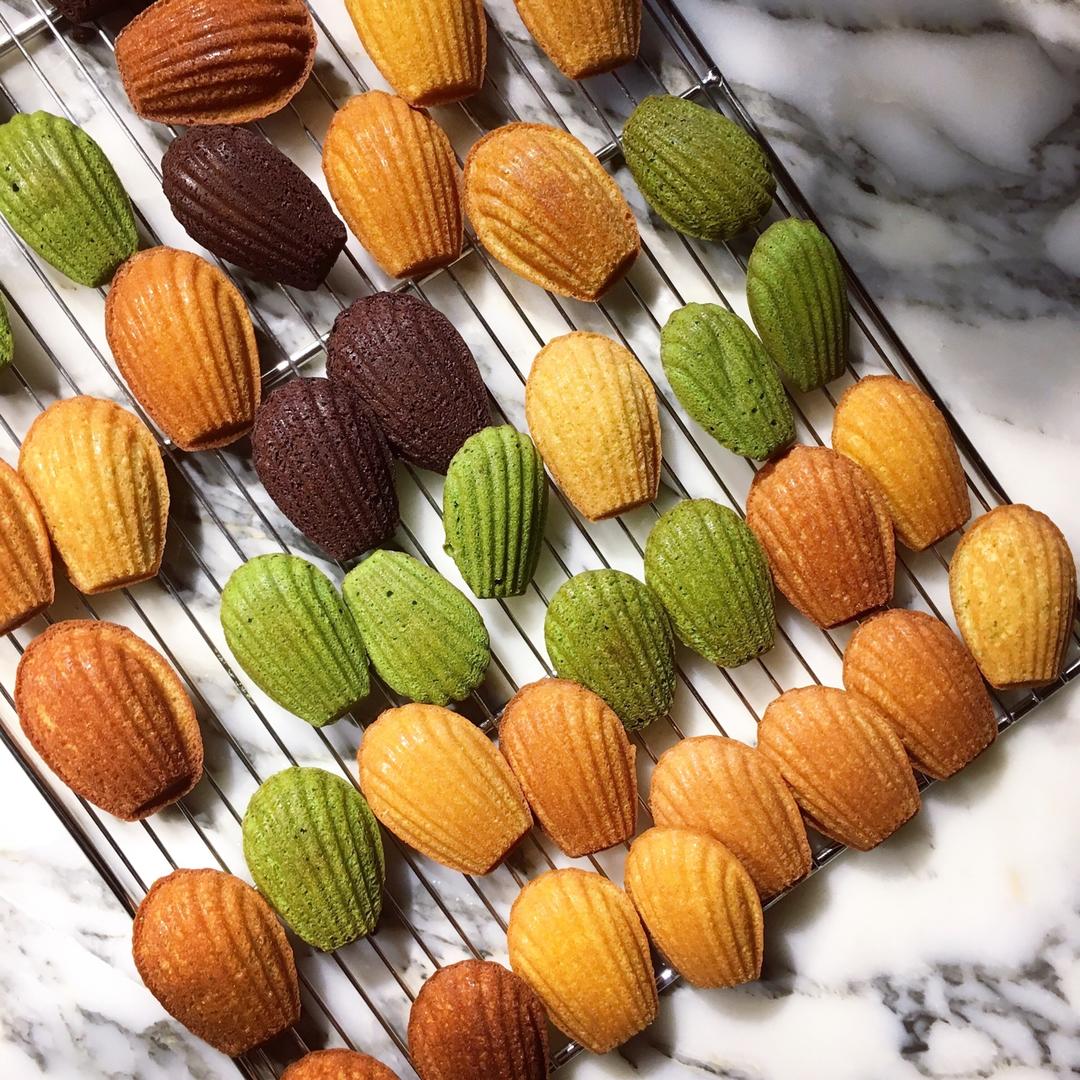 玛德琳（蓝带方）