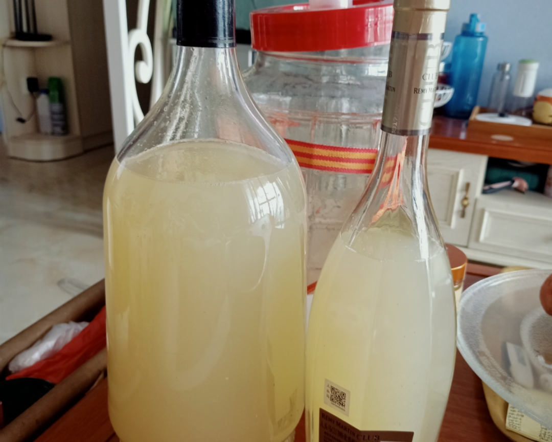 酿造荔枝酒（家庭自制版，可商用配方）的做法