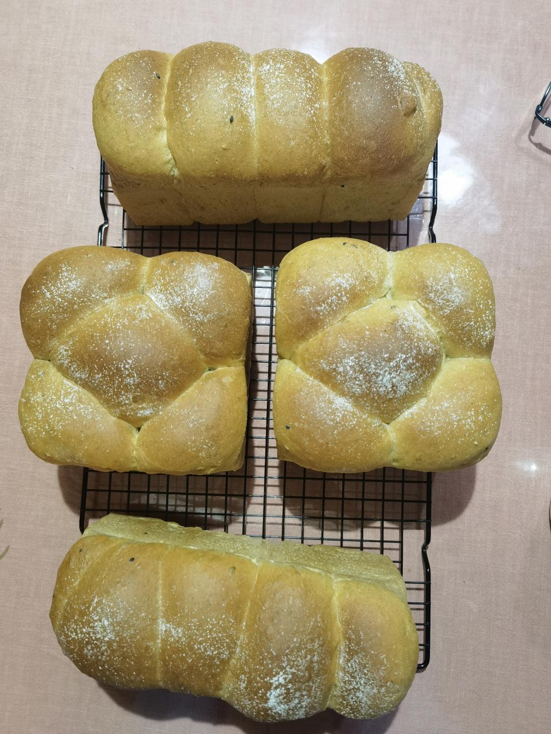 波兰种全麦面包🍞