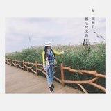 小蜜蜜的小丸子