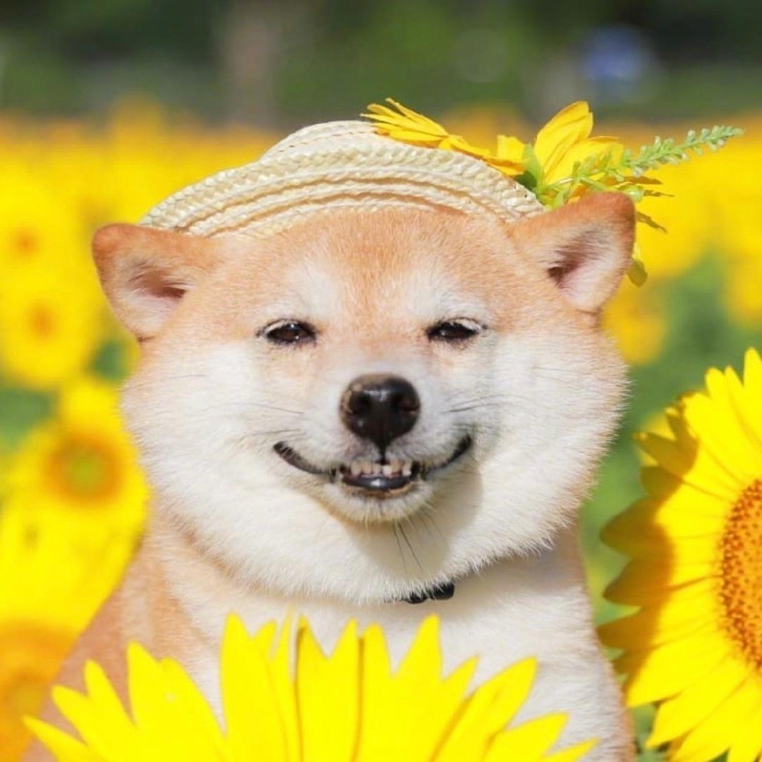 焦糖排骨