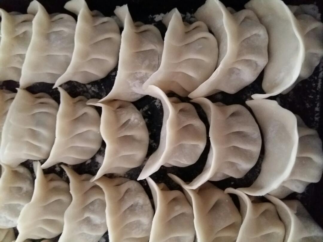 韭菜猪肉饺子(最简单最好吃又最多汁的饺子)