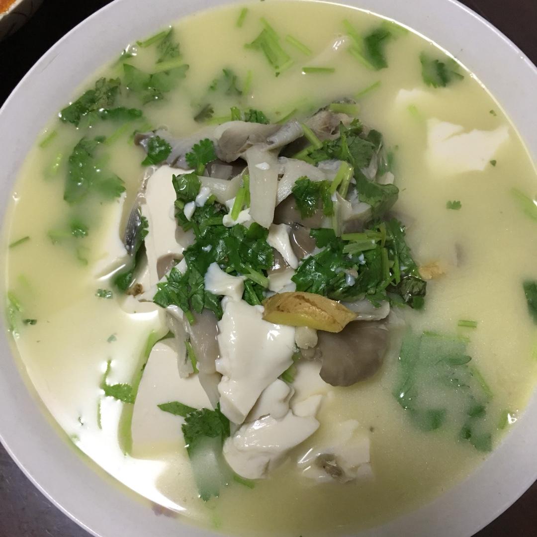 青枫飞舞做的鲜菌奶白鲫鱼汤