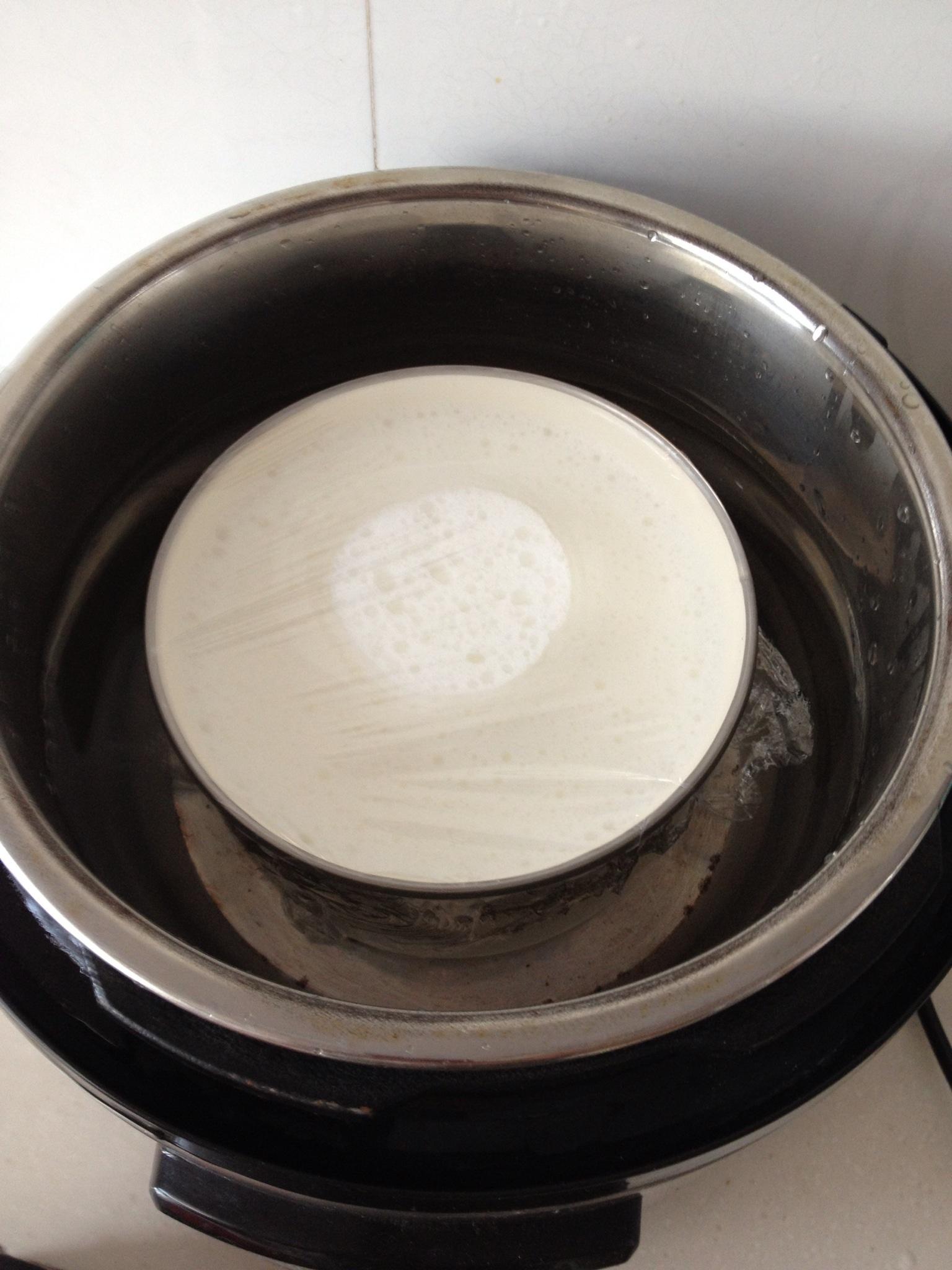 电高压锅做酸奶的做法