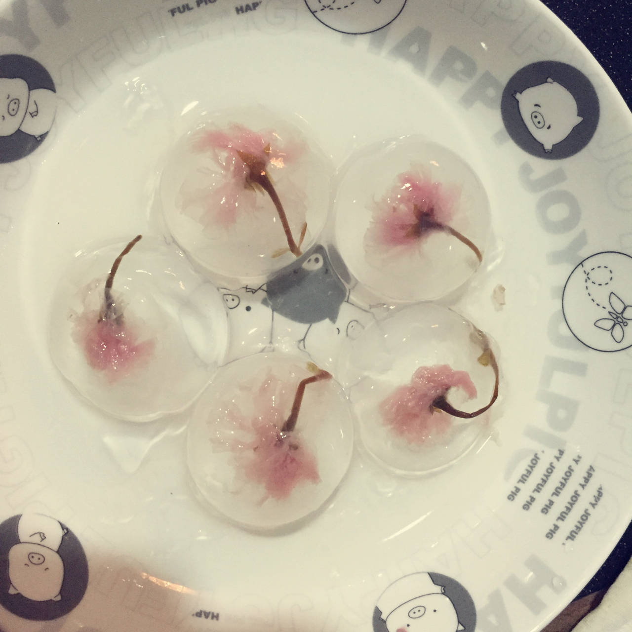 日本最温柔的梦幻和菓子 — 水信玄饼