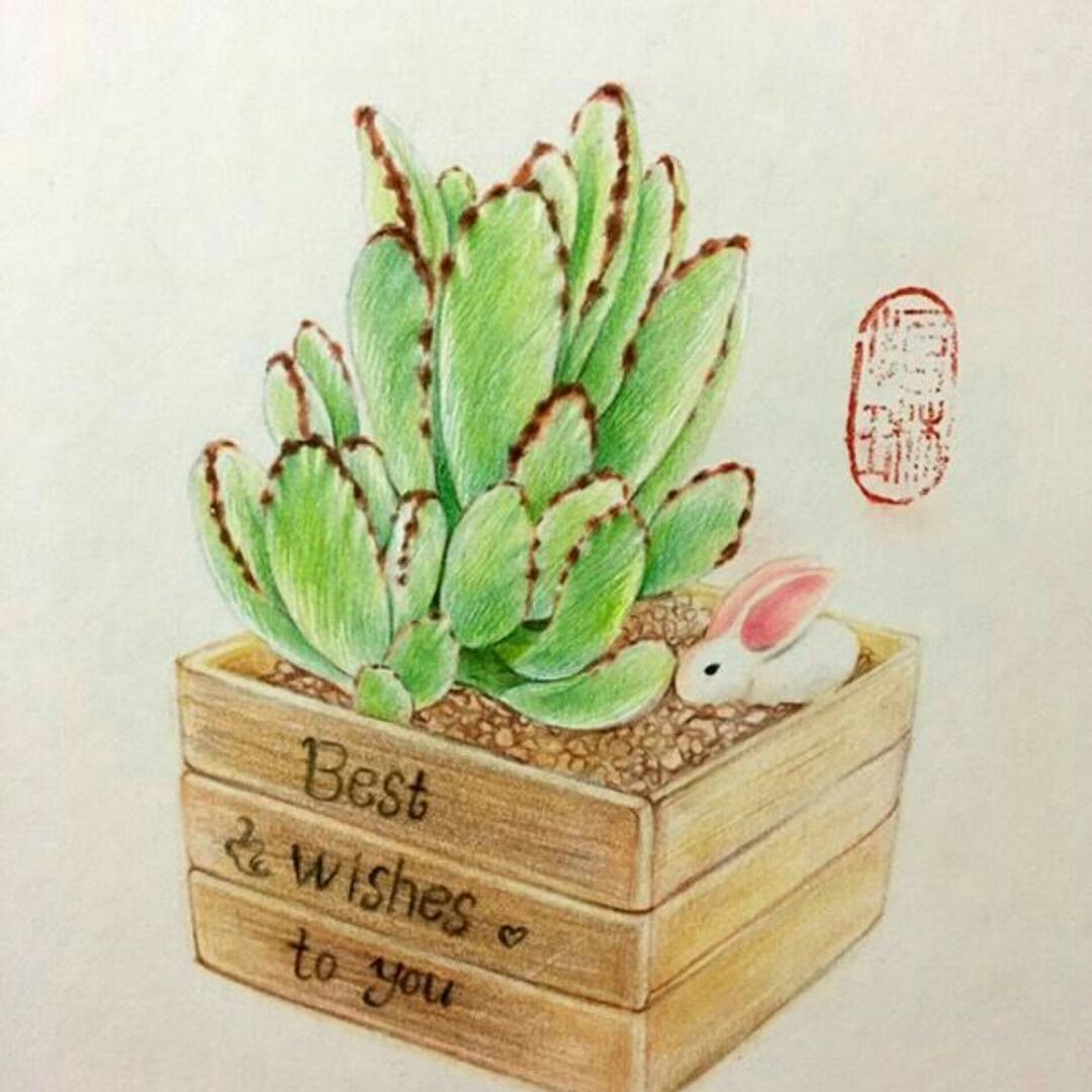 子沐lina
