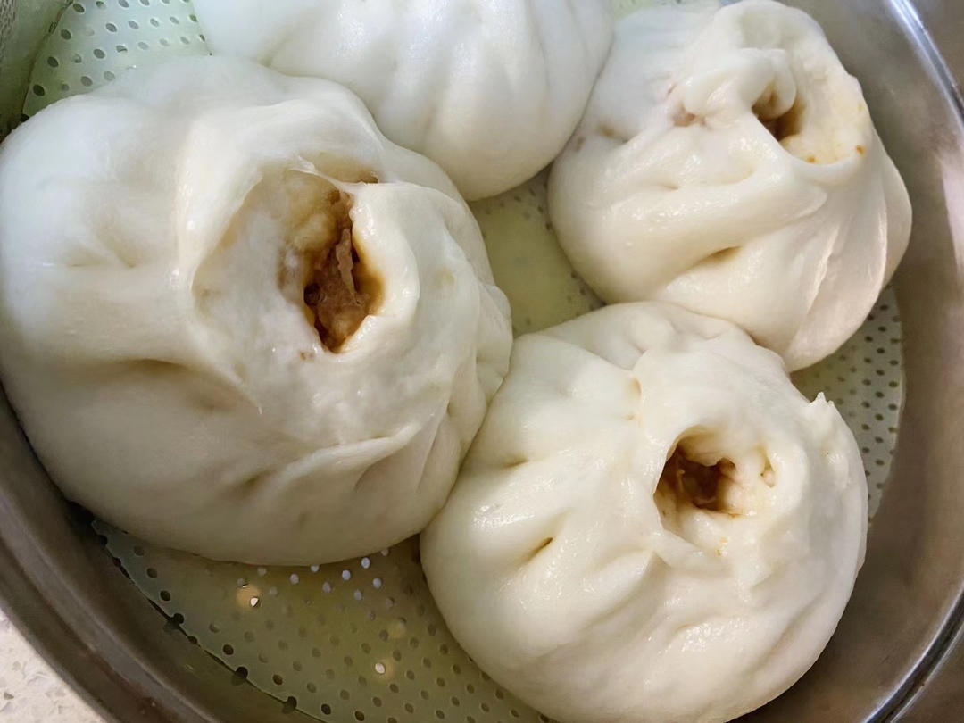 一次发酵肉包子