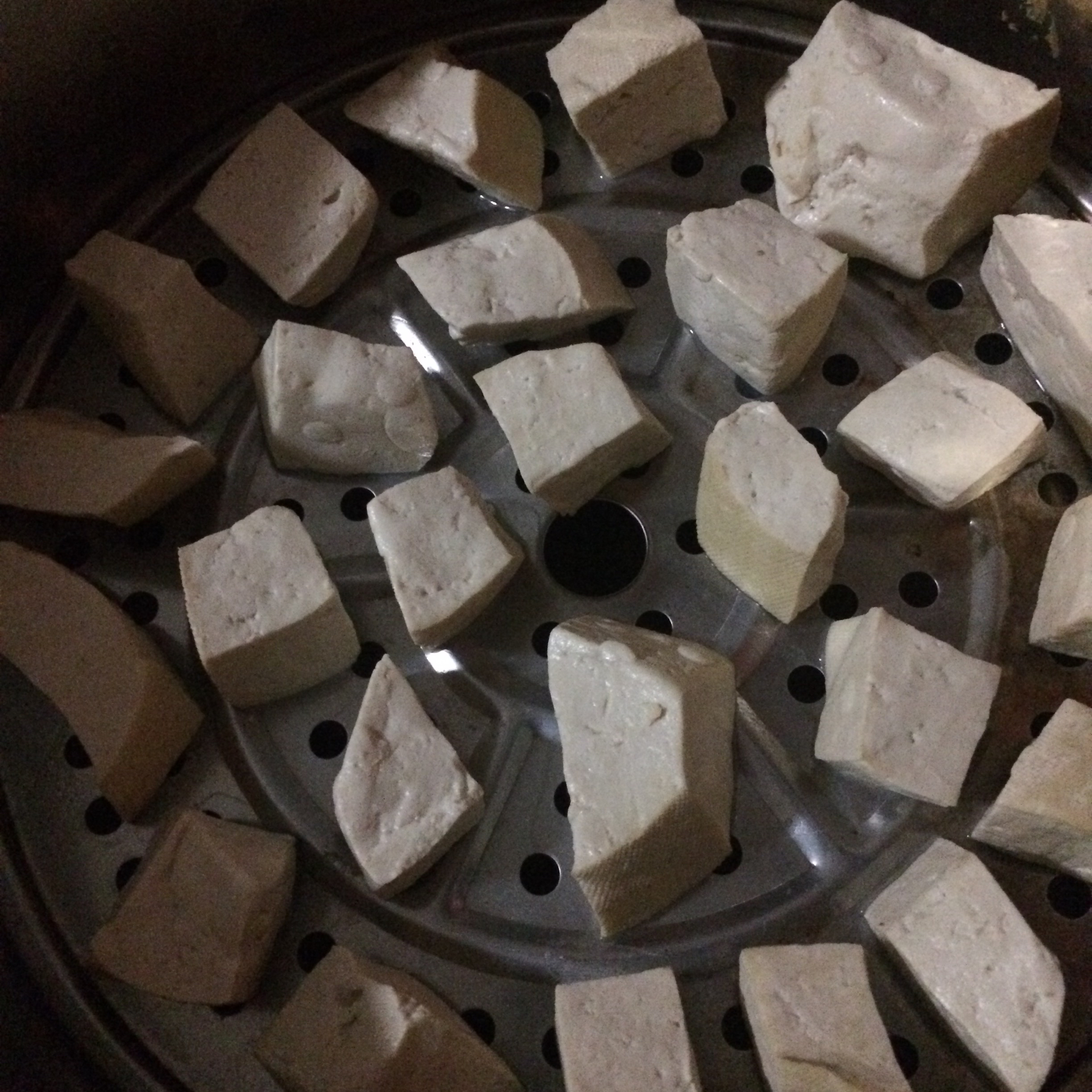 毛豆腐（狐狸一样的毛）