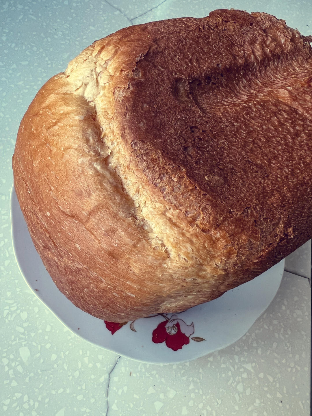 提子土司（柏翠面包机PE6280）自用方子