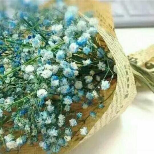 来碗孟婆汤O_o