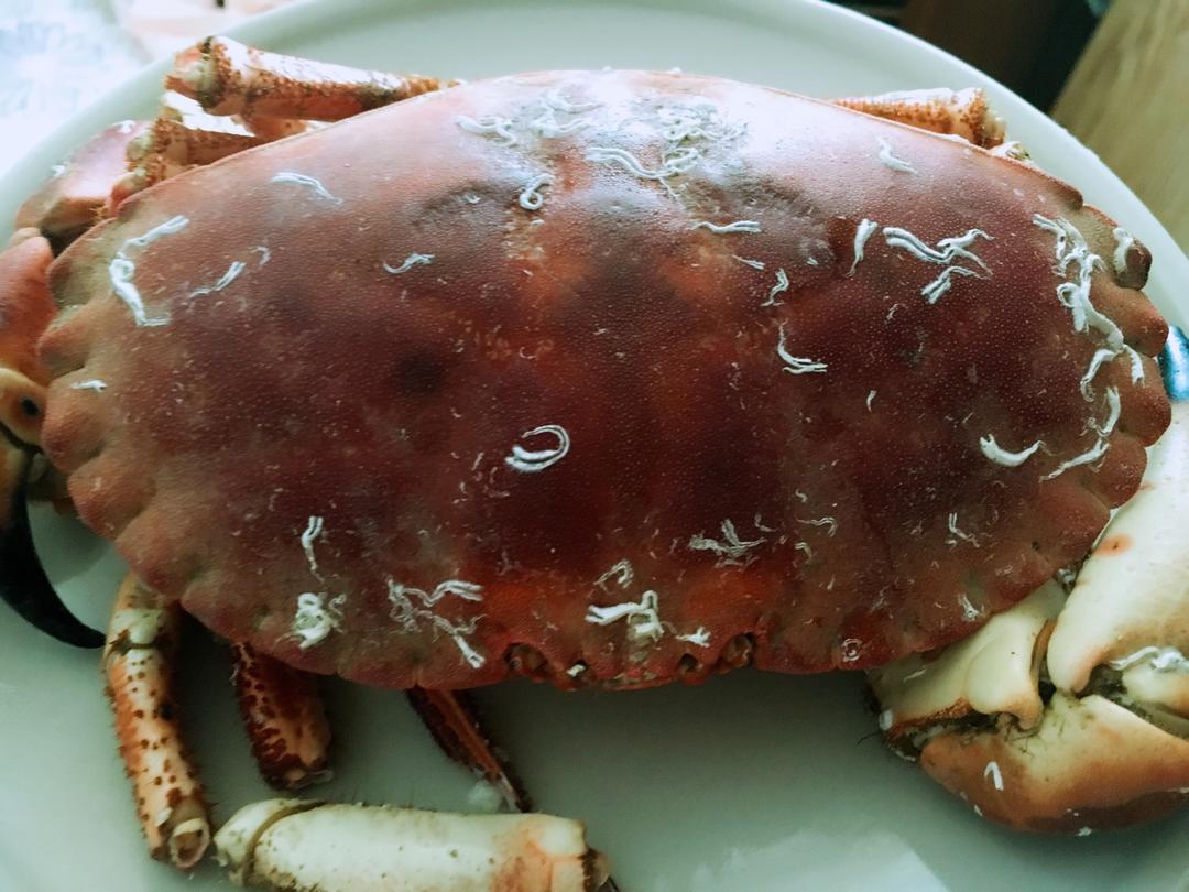超满足清蒸面包蟹的做法