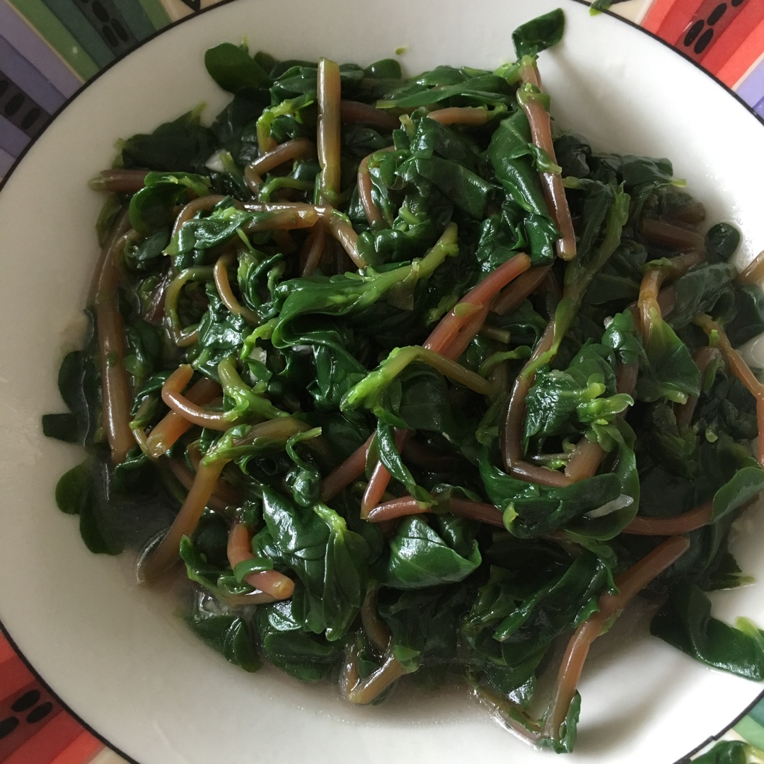 凉拌马马菜（凉拌马齿苋）