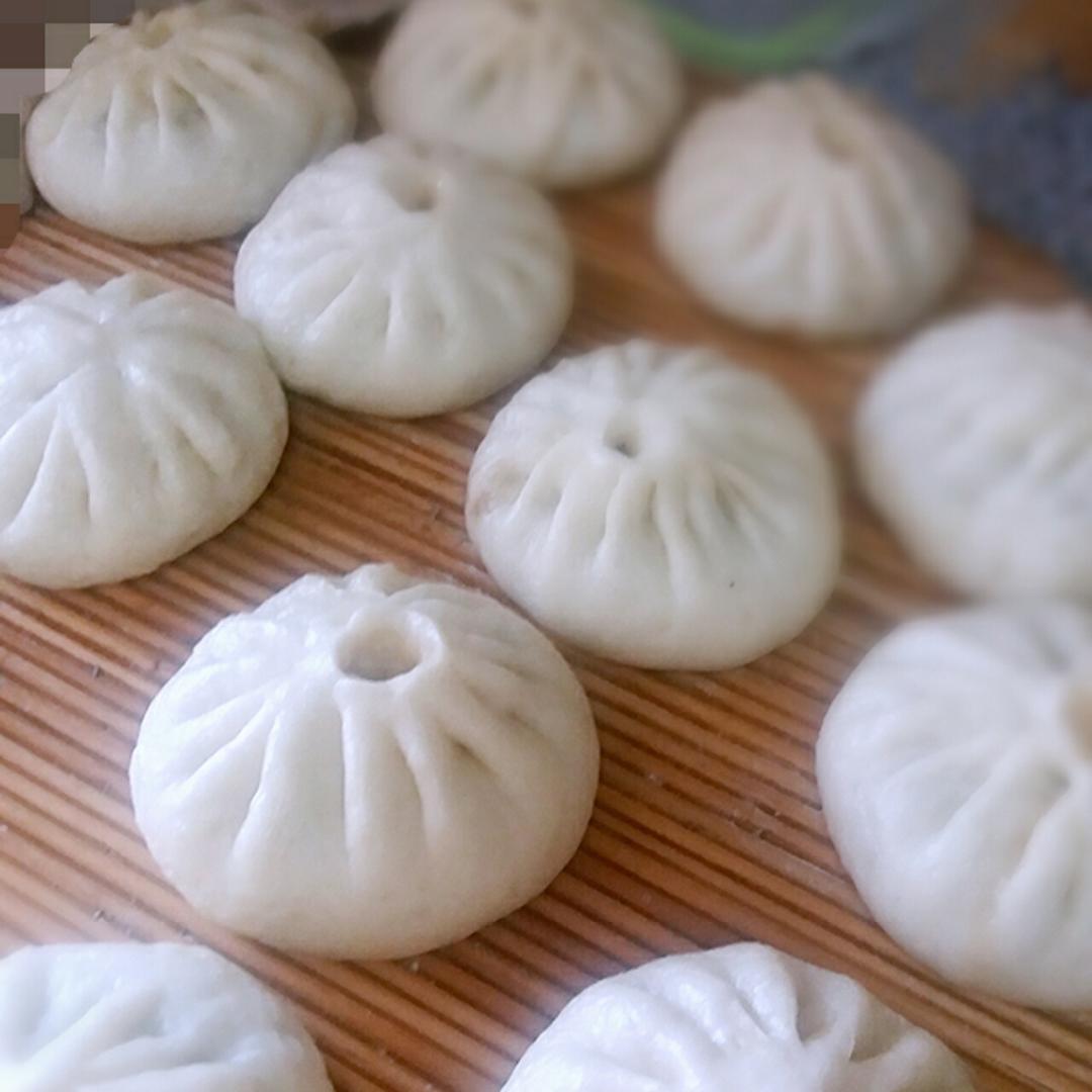 荤香猪肉包子（没包过包子的亲都可以尝试哦）的做法
